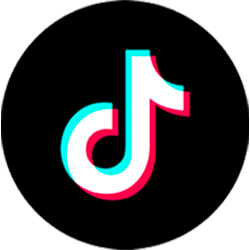 TROASIS - Integrates with TikTok Ads